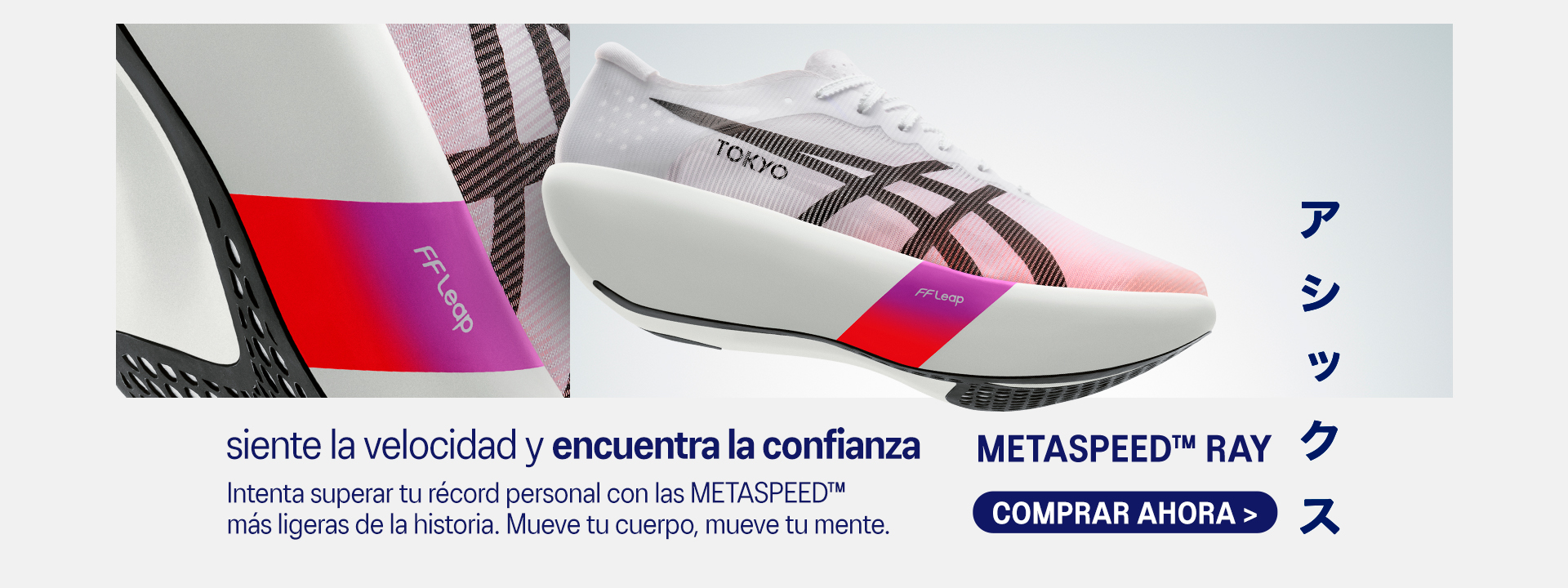 banner-principal-desktop-0-metaspeed-ray